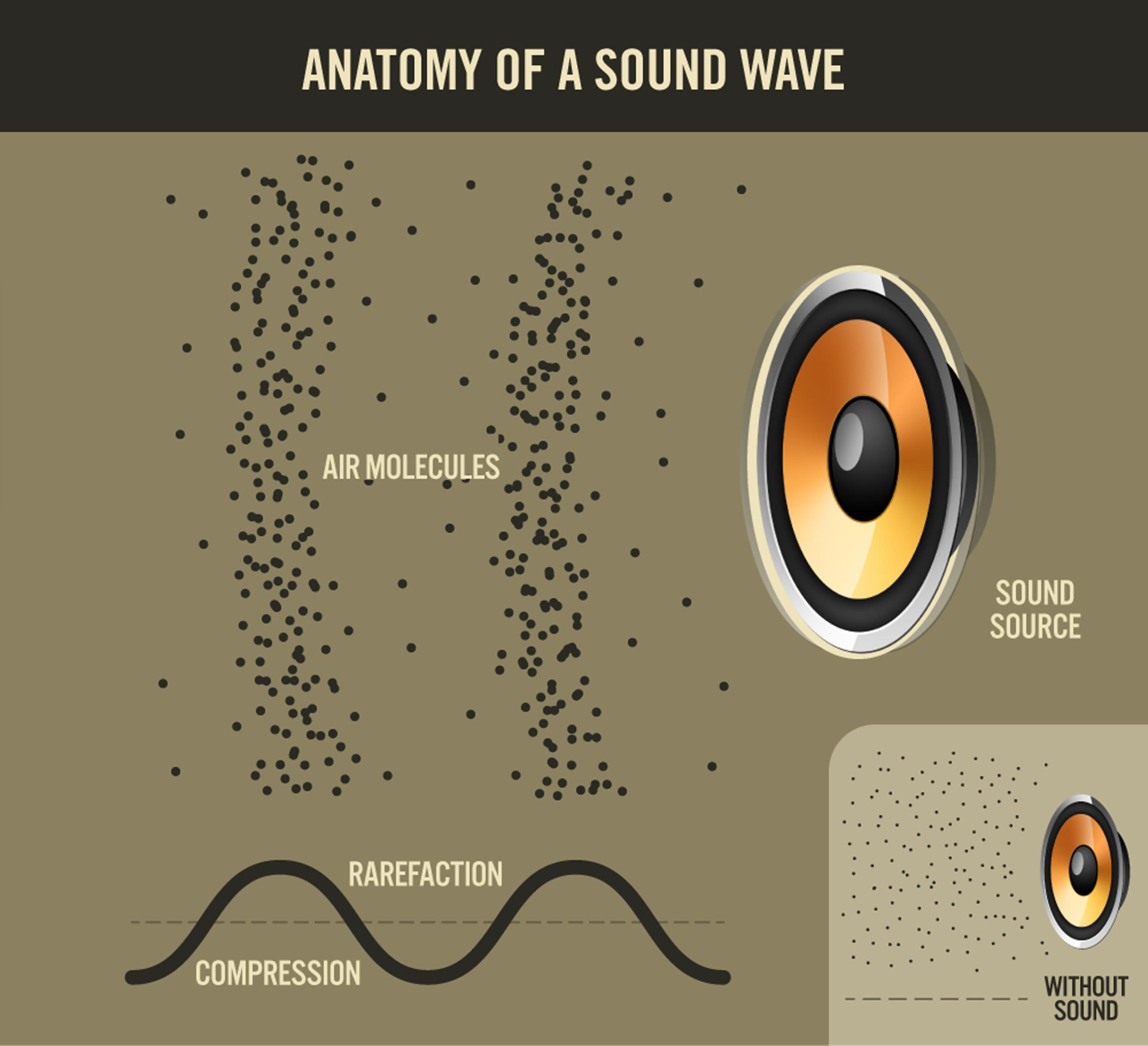 Anatomy of a sound wave.