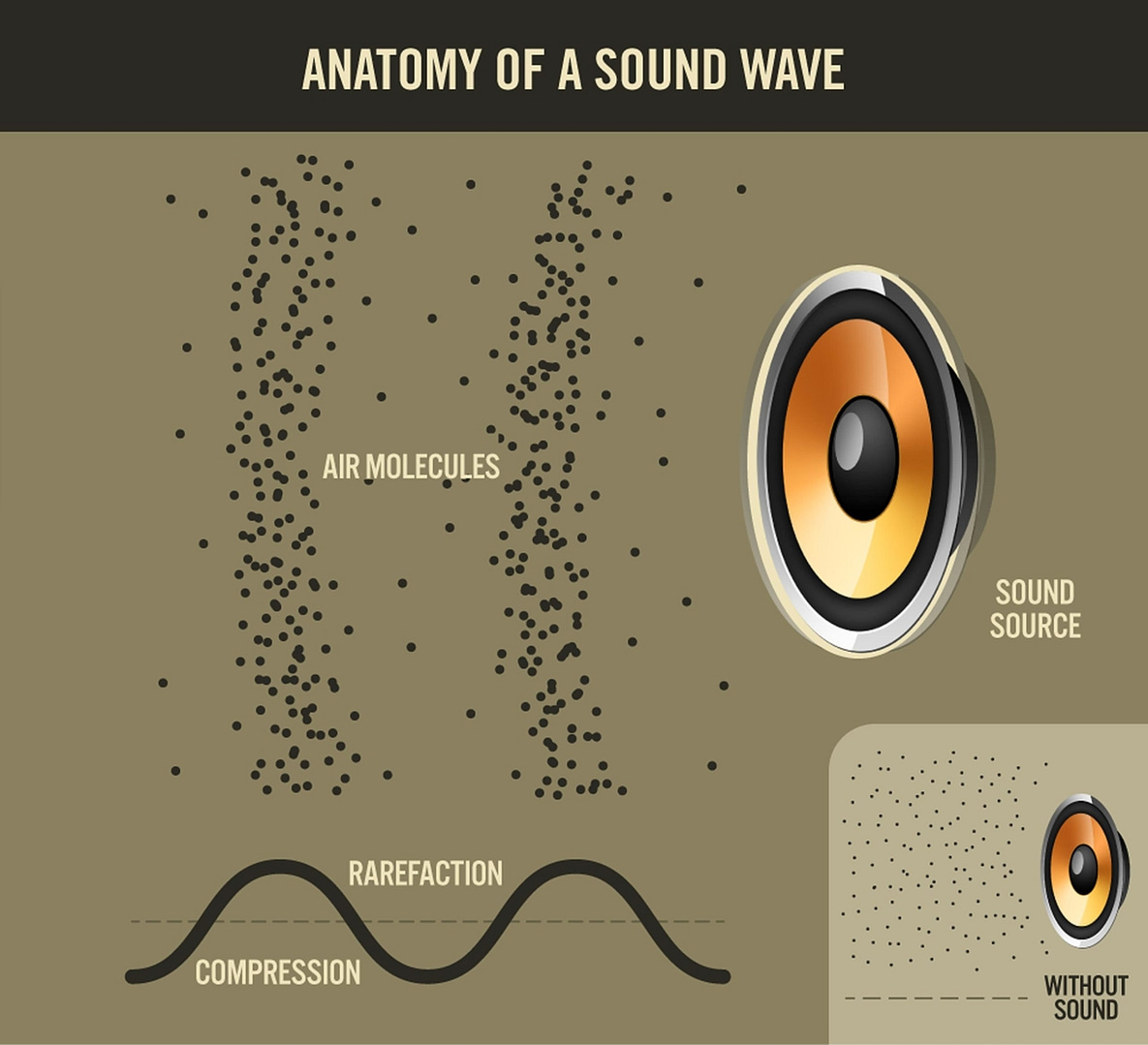 acoustics anatomy sound wave scaled 1